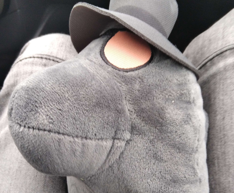Amoogus