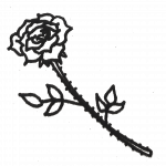 rosepik1