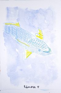 21