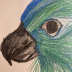 IMG_8875