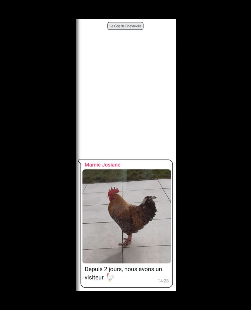 cover coq